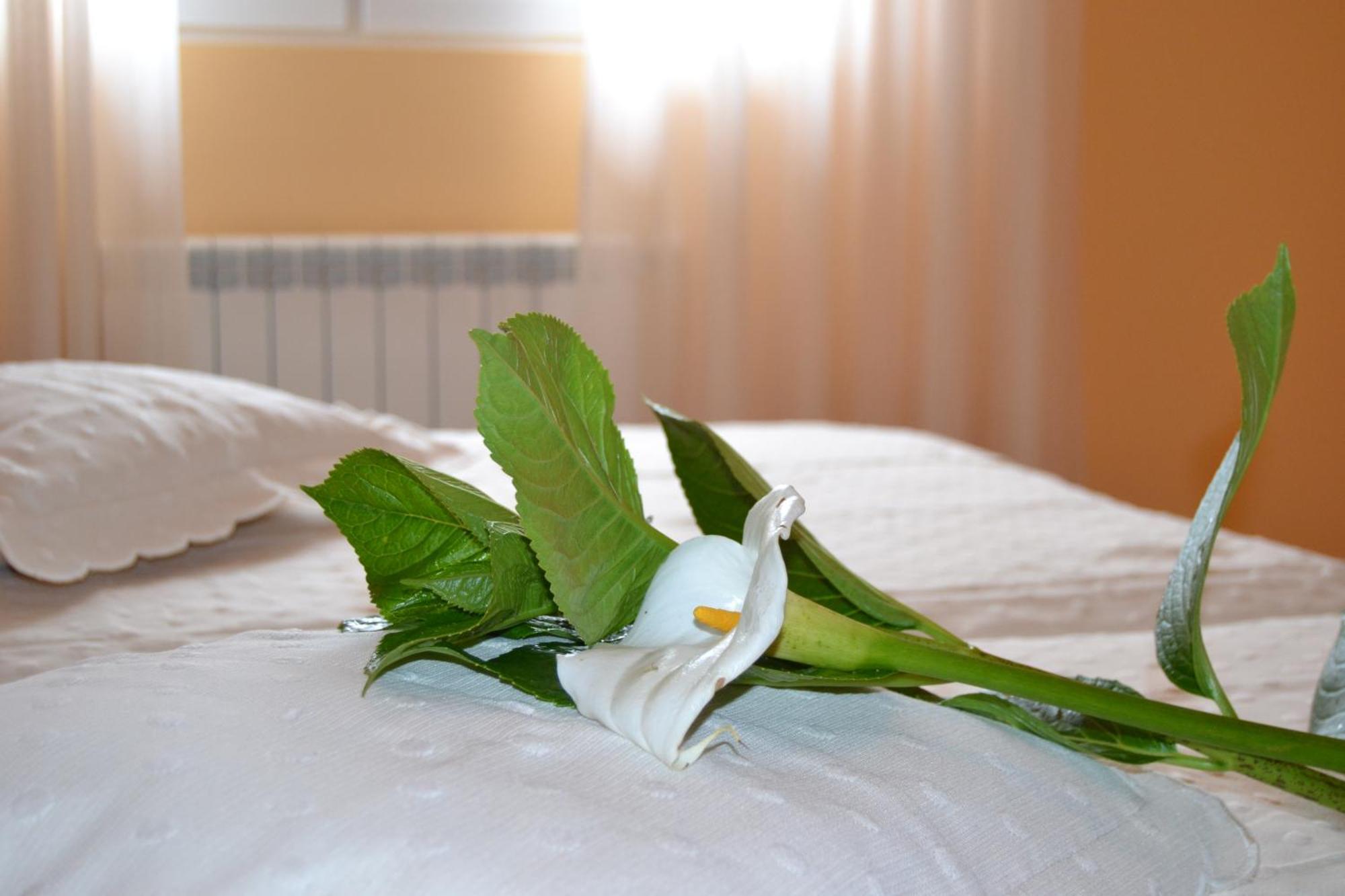 Hostal Pereirina 쎄 객실 사진